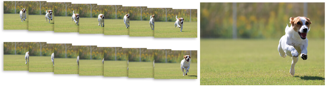 キヤノンEOS R50の高速連写機能