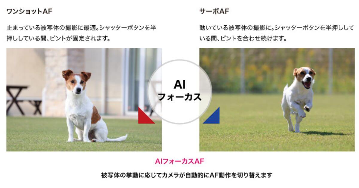 EOS R50のAIフォーカスAF（AIによるオートフォーカス動作の自動切り替え）