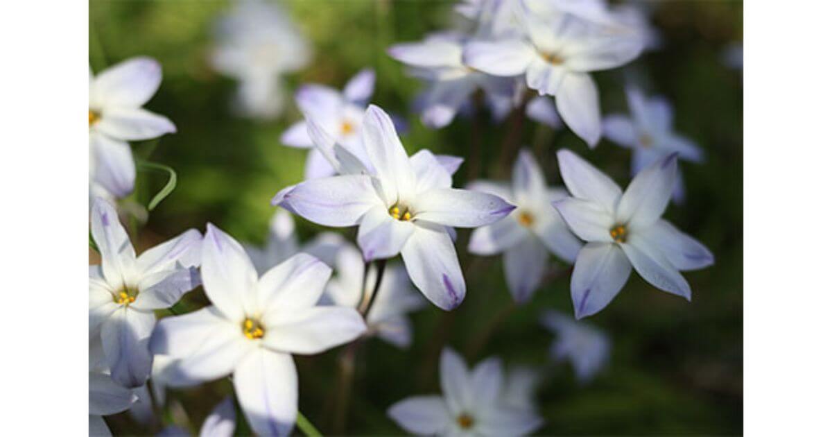 APS-Cサイズのカメラでは、標準45mm相当のF2.8レンズとして使用可能