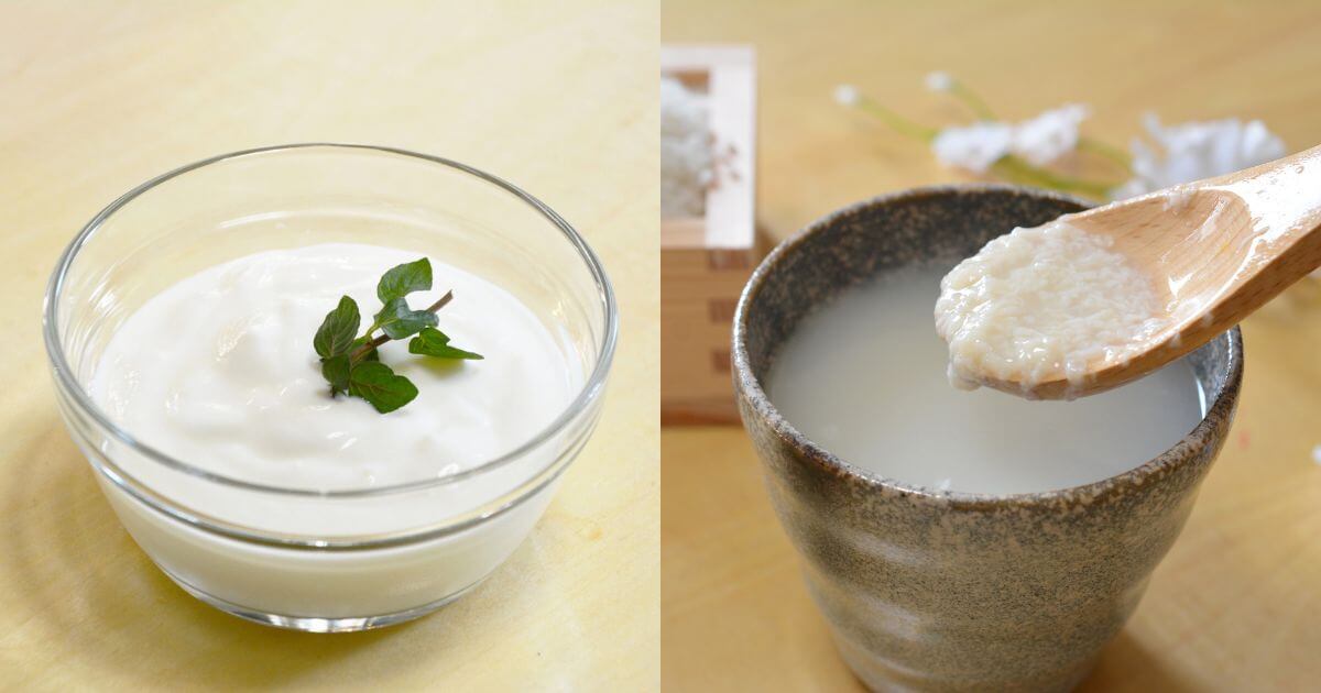 NE-BS8DとNE-BS8Cはヨーグルトや甘酒などの温度を一定に保つのが難しい発酵も可能