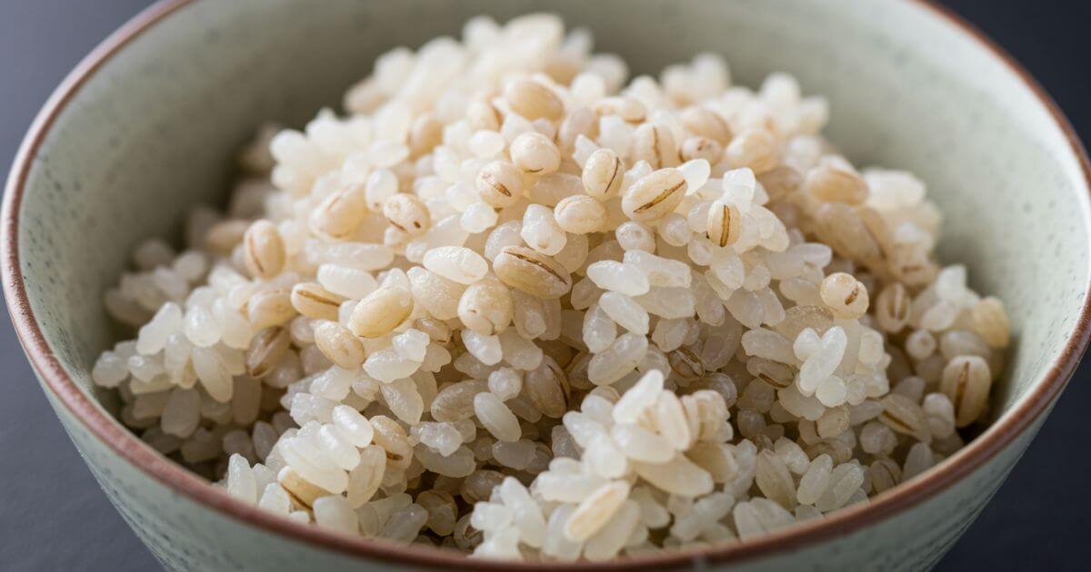 JRX-G100（型落ち）は麦めしメニューが充実